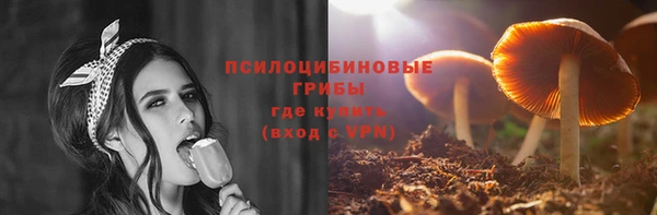 ГАЛЛЮЦИНОГЕННЫЕ ГРИБЫ Волосово
