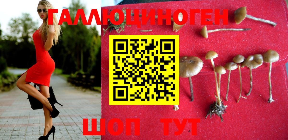 Галлюциногенные грибы Psilocybe  Вход с VPN  Псилоцибиновые грибы MAGIC MUSHROOMS  как найти закладки  Воскресенск 