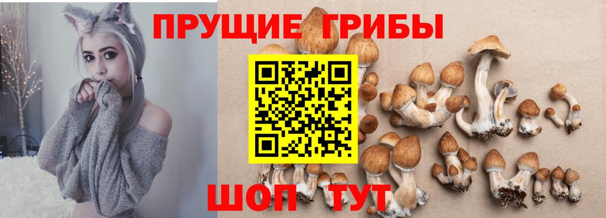 Псилоцибиновые грибы MAGIC MUSHROOMS  Воскресенск 